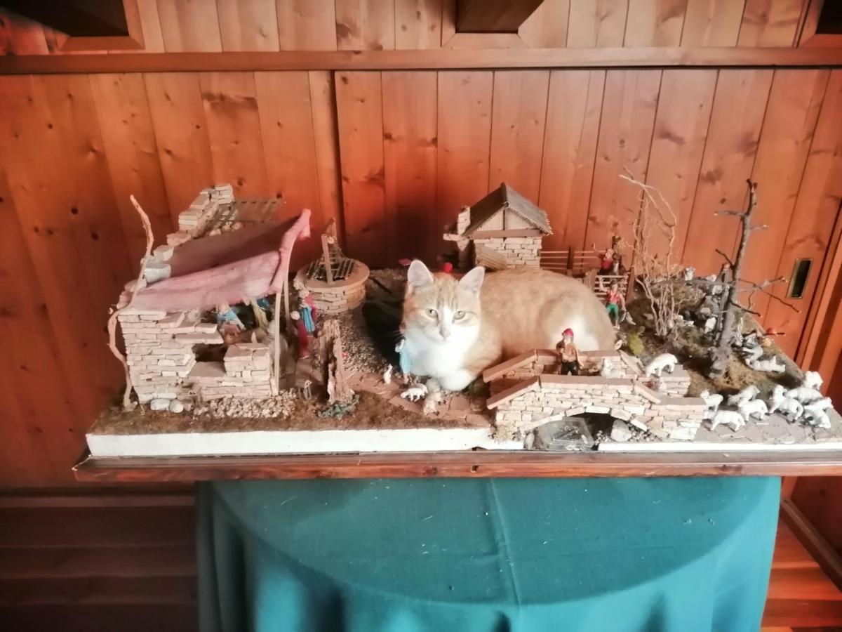 סן זנו די מונטניה B&B Da Paolo Con Vista Lago Di Garda מראה חיצוני תמונה